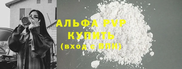 винт Бородино