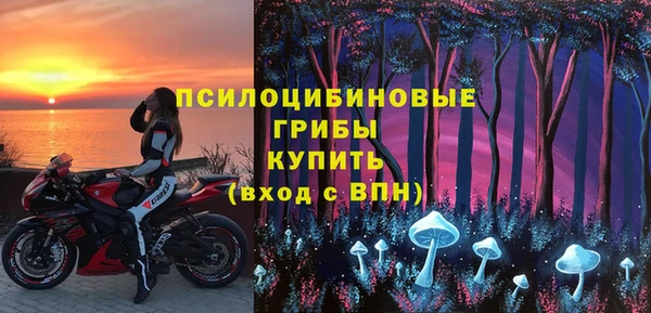 mdpv Бронницы