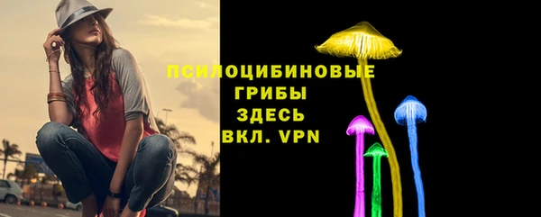mdpv Бронницы