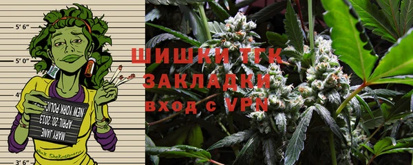 винт Бородино