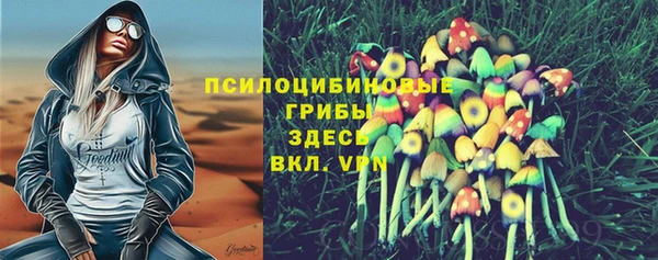 твердый Шарыпово